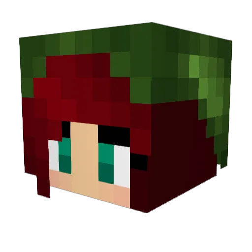 weeniehutjuniors Minecraft avatar head, 3D render