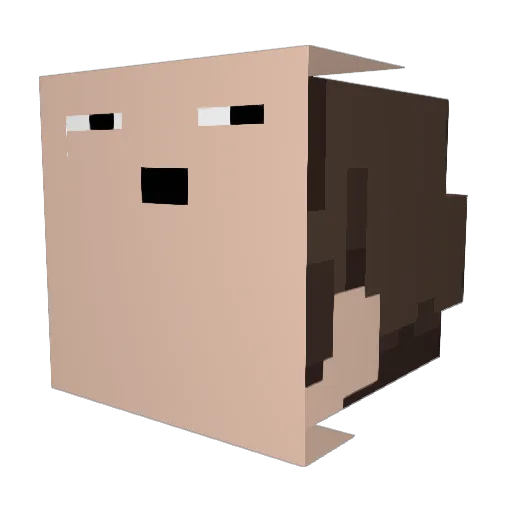 weeniejohnson43 Minecraft avatar head, 3D render