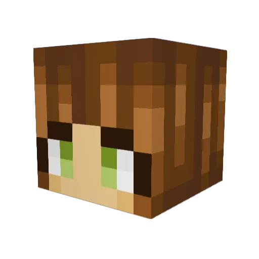 weenist Minecraft avatar head, 3D render