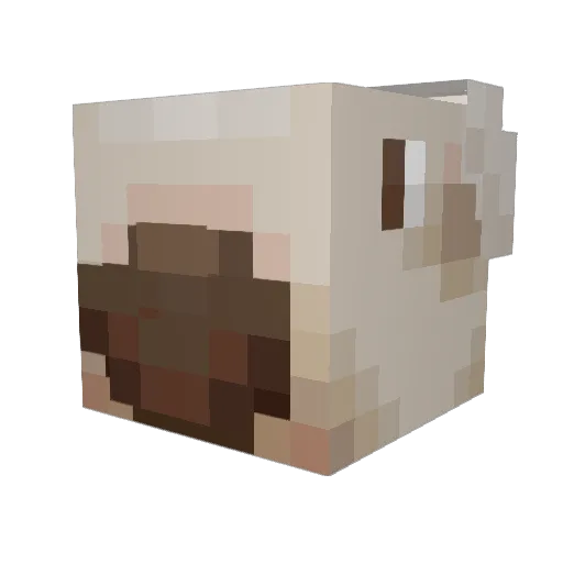 weenos Minecraft avatar head, 3D render