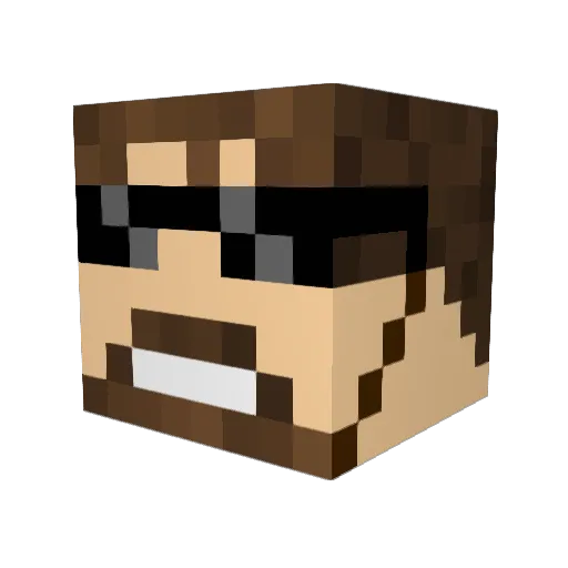 weenywarrior4220 Minecraft avatar head, 3D render