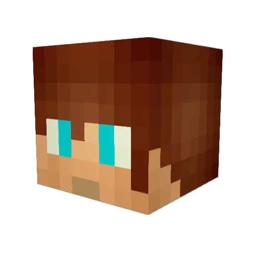 weepi Minecraft avatar head, 3D render
