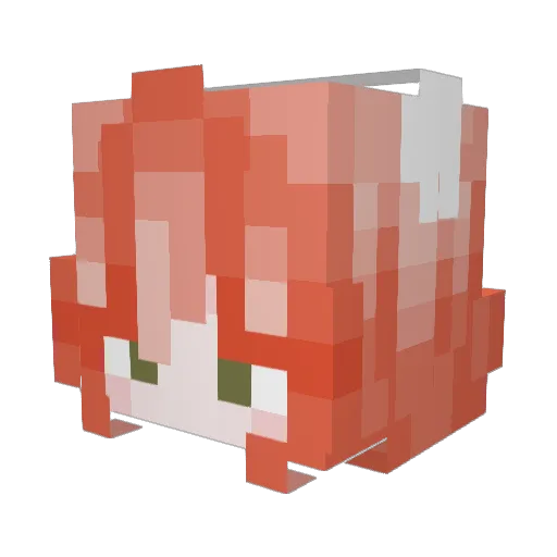 weepingsam Minecraft avatar head, 3D render