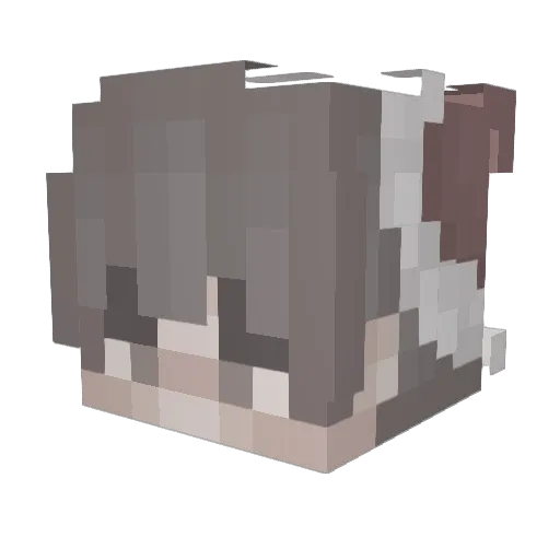 weeqleV2 Minecraft avatar head, 3D render