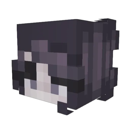 weert73 Minecraft avatar head, 3D render
