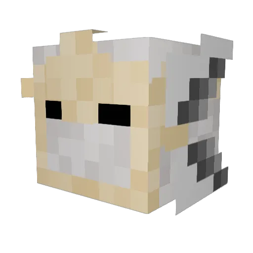 weesnoosle Minecraft avatar head, 3D render