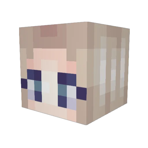 weevil9 Minecraft avatar head, 3D render