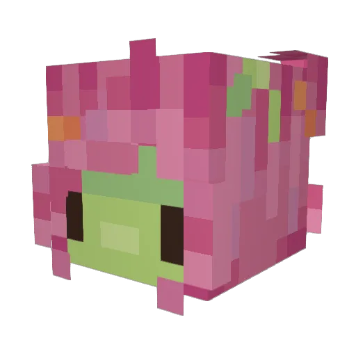 weevyl Minecraft avatar head, 3D render