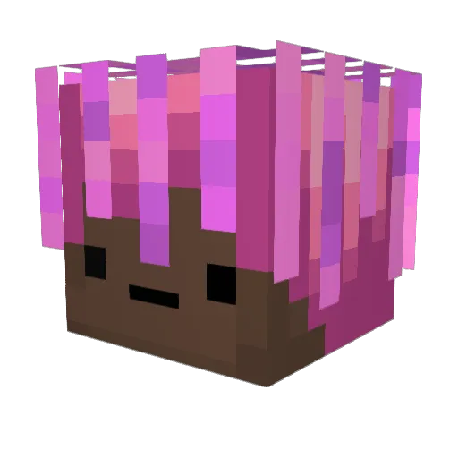 weezokzz Minecraft avatar head, 3D render