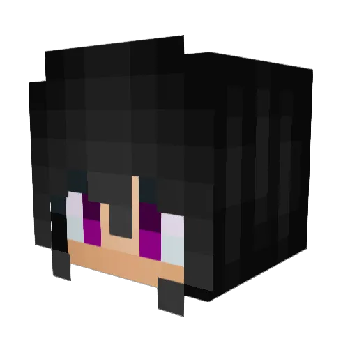 weezy666 Minecraft avatar head, 3D render