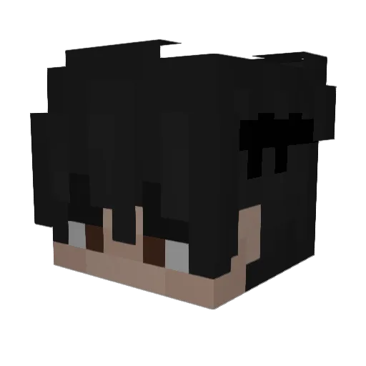 weggeschlossen Minecraft avatar head, 3D render