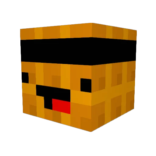 wegol25 Minecraft avatar head, 3D render