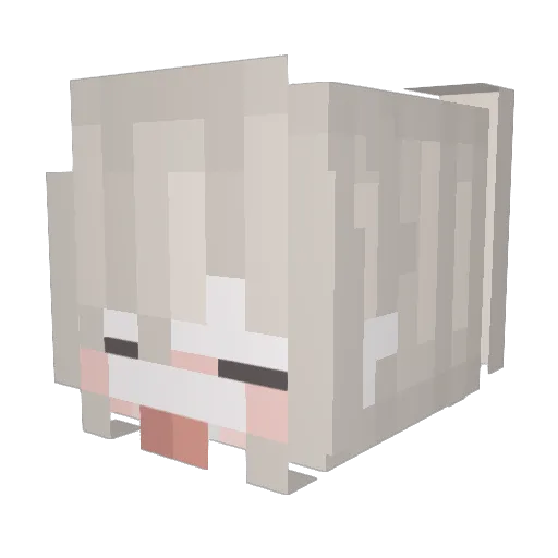wehich Minecraft avatar head, 3D render