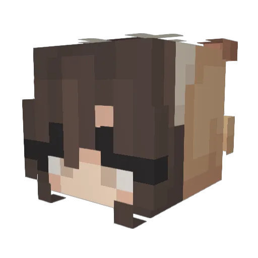 wehoho123 Minecraft avatar head, 3D render