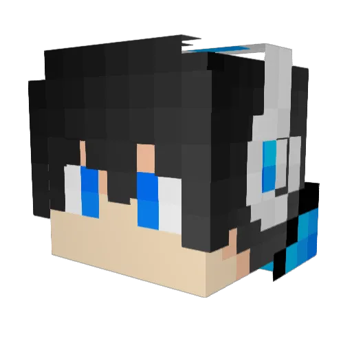 wei_sa Minecraft avatar head, 3D render