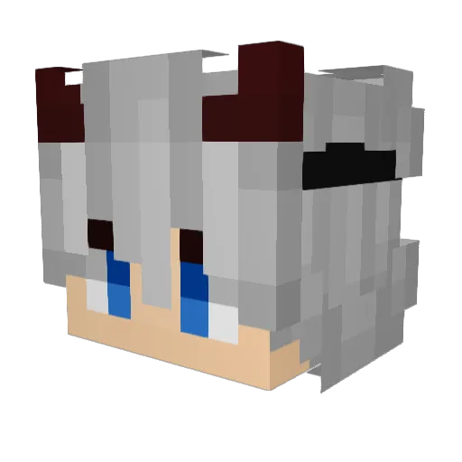 weibe3 Minecraft avatar head, 3D render