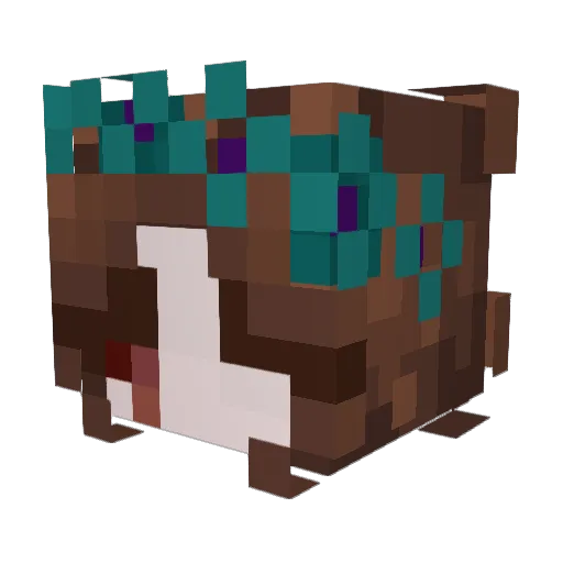 weintrauube Minecraft avatar head, 3D render