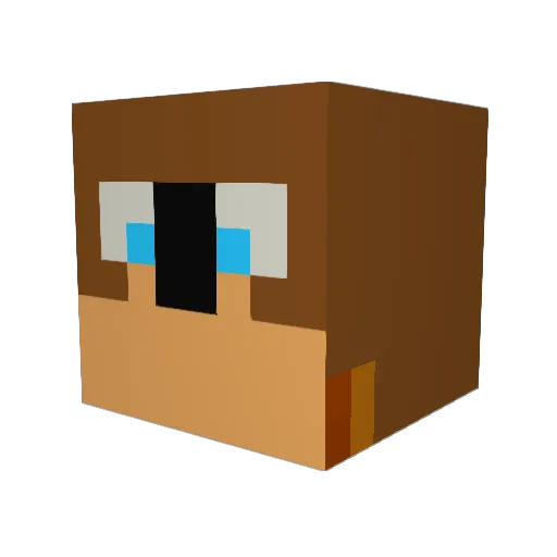 weir_d_gamer Minecraft avatar head, 3D render