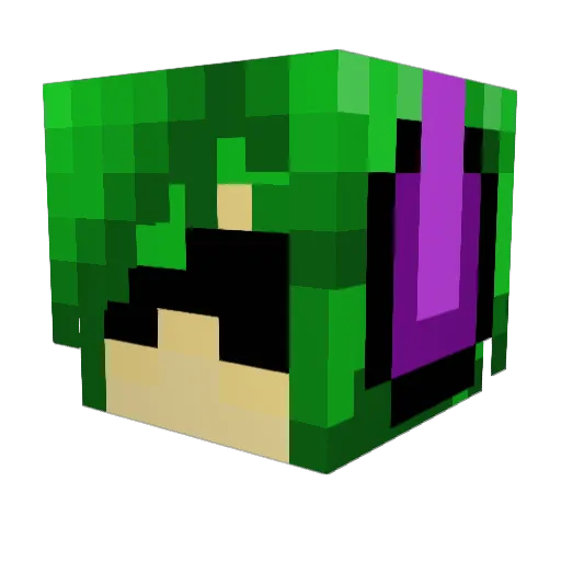 weirdfish16 Minecraft avatar head, 3D render