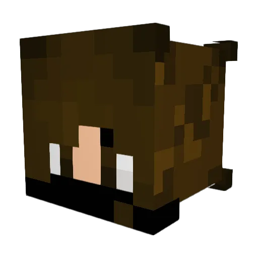 weirdfish4675 Minecraft avatar head, 3D render
