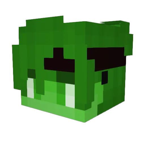 weirdguy_xd Minecraft avatar head, 3D render