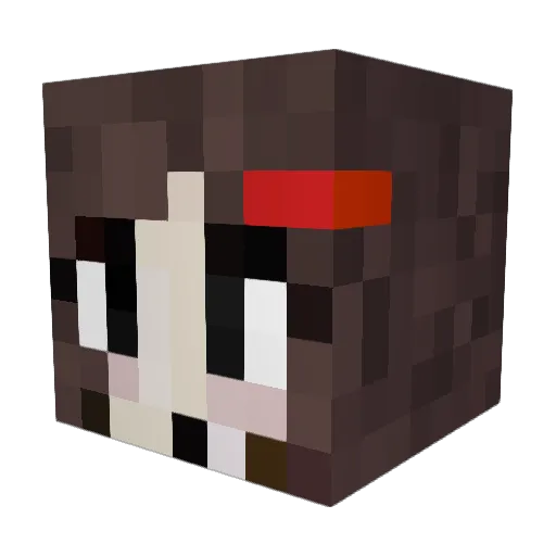 weirdkid09 Minecraft avatar head, 3D render