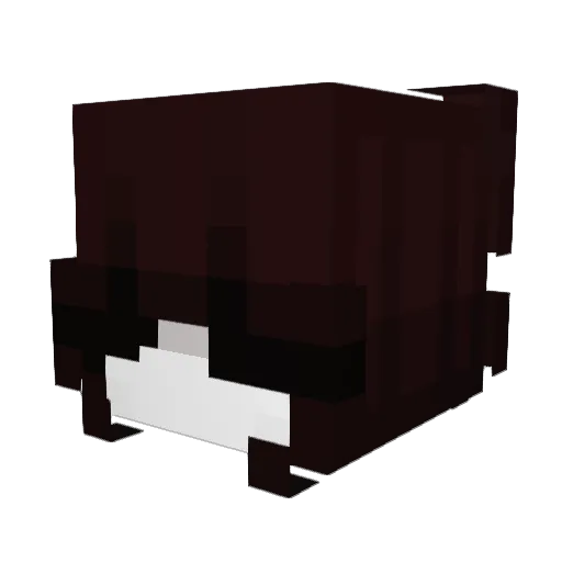 weirdlycalm Minecraft avatar head, 3D render