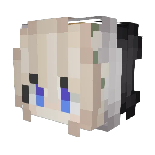 weirdo5643 Minecraft avatar head, 3D render