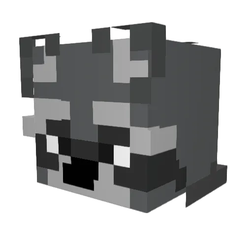 weirdoplayer Minecraft avatar head, 3D render