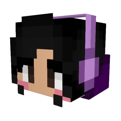 weirdpotato564 Minecraft avatar head, 3D render