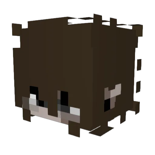 weitze45 Minecraft avatar head, 3D render