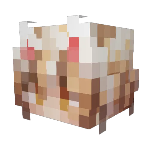 weknowtrash Minecraft avatar head, 3D render