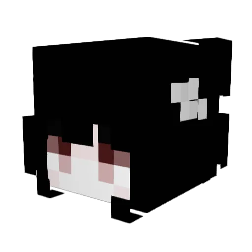 welcometodeath Minecraft avatar head, 3D render