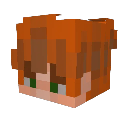wele420 Minecraft avatar head, 3D render