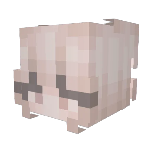 wellcook Minecraft avatar head, 3D render