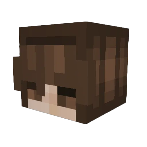 wellick777 Minecraft avatar head, 3D render