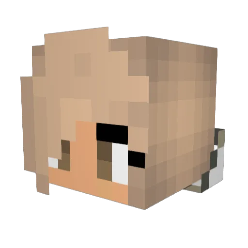 wellje05 Minecraft avatar head, 3D render