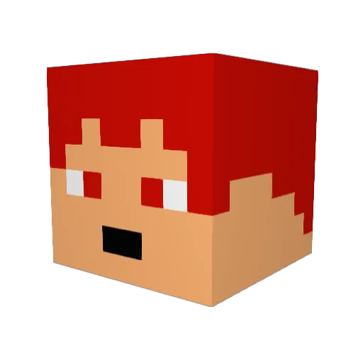 wellkeur Minecraft avatar head, 3D render