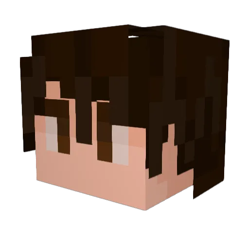 wellmanboys1 Minecraft avatar head, 3D render