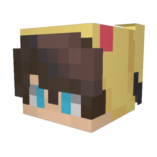 wellwith Minecraft avatar head, 3D render