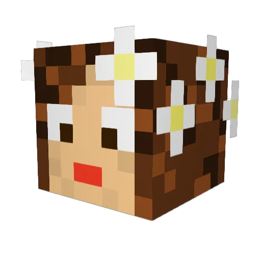 wellypiggy Minecraft avatar head, 3D render