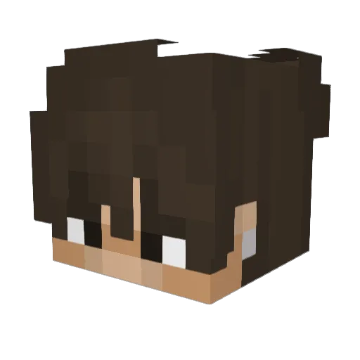 weln9 Minecraft avatar head, 3D render