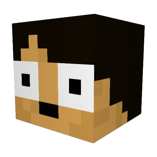 welnis25 Minecraft avatar head, 3D render