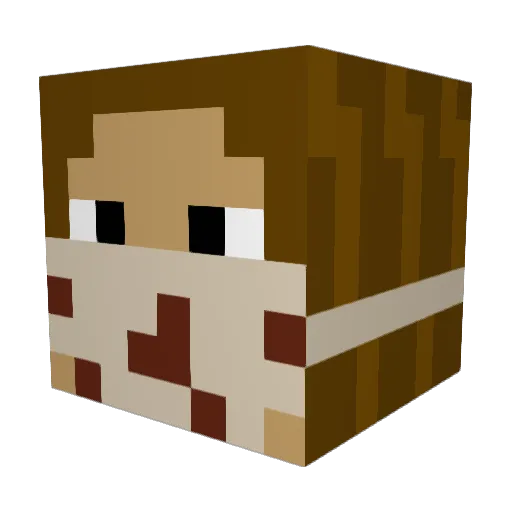 welofelo Minecraft avatar head, 3D render