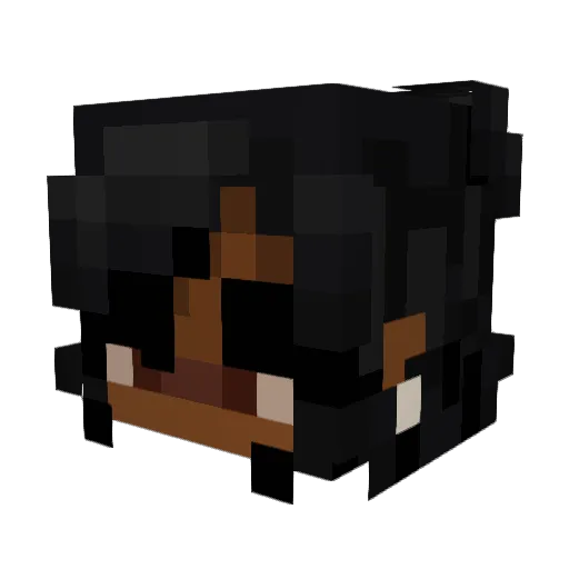 weloveria Minecraft avatar head, 3D render