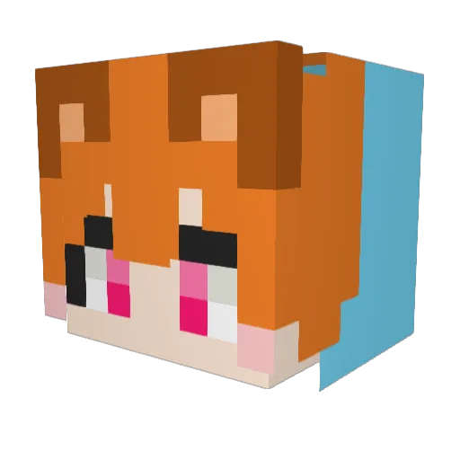 welsee Minecraft avatar head, 3D render