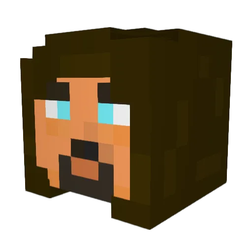 welsh4 Minecraft avatar head, 3D render