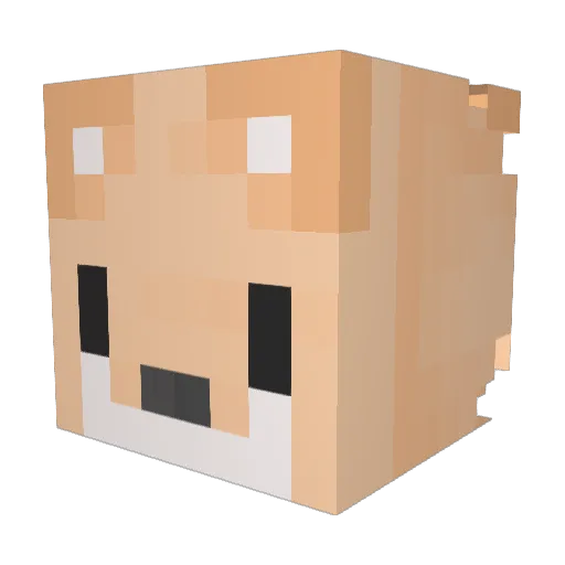 welshcoco Minecraft avatar head, 3D render