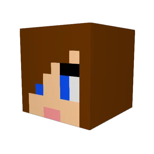 welshs Minecraft avatar head, 3D render