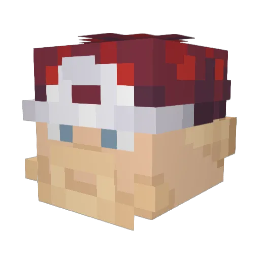 welsmore54 Minecraft avatar head, 3D render